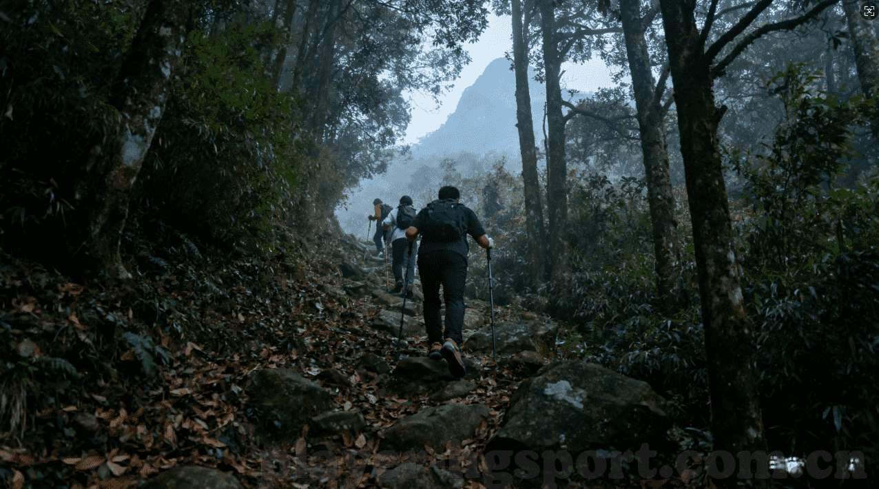 开云全站app诈骗-警惕虚拟陷阱，解析开云全站app诈骗